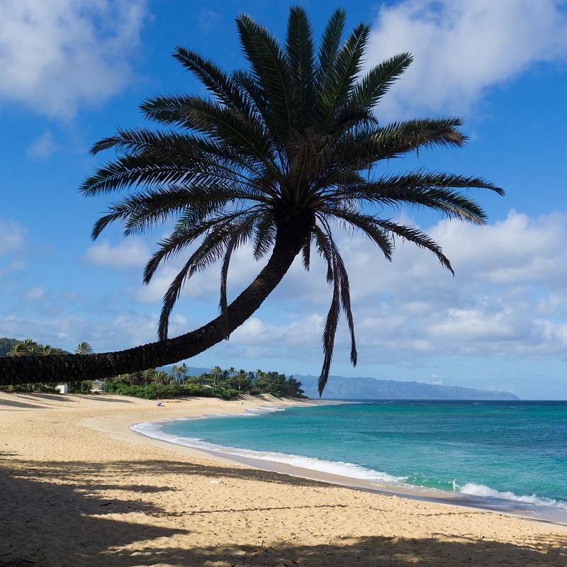 blog6